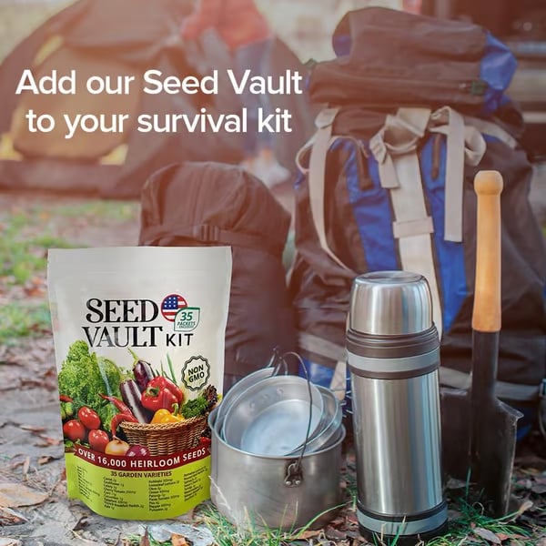 🌱 Secure Your Future Today✨Vegetable Seed Vault Kit | 35 Variety Pack - Image 5