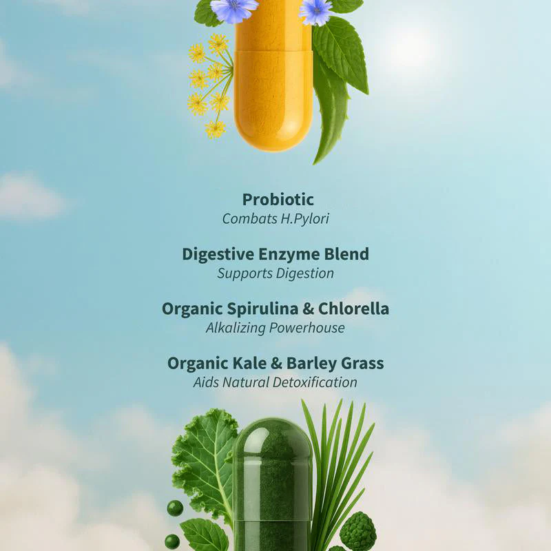 Gut Reset Bundle - Gut Health + Spirulina & Chlorella - Image 4